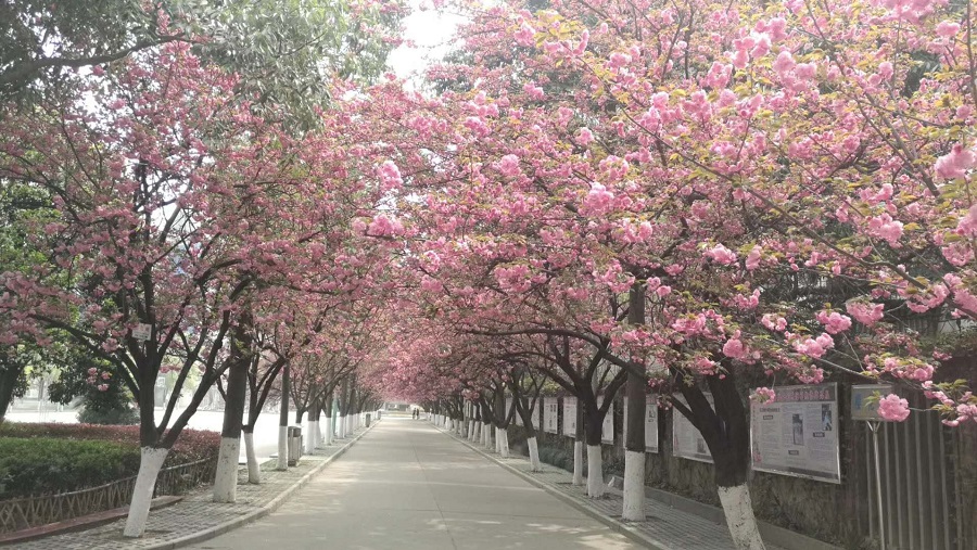 1553936790102286.jpg webwxgetmsgimg(1).jpg