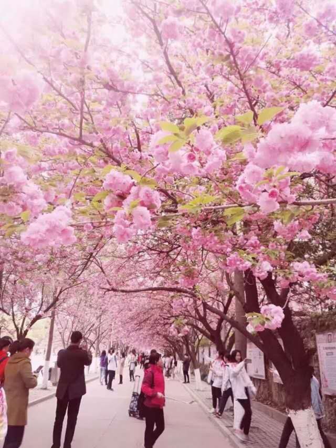 1554820431127249.jpg 02.jpg