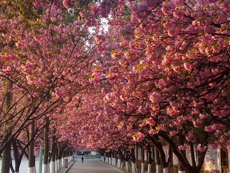 1554820728973938.jpg 22.jpg