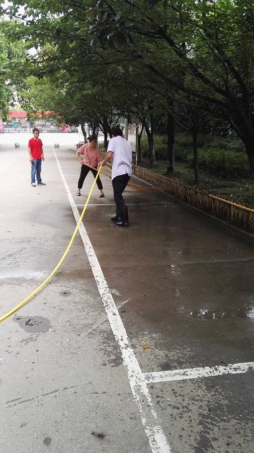 1555855826961200.jpg 29.jpg