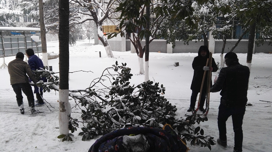 1555856364657654.jpg 21.jpg