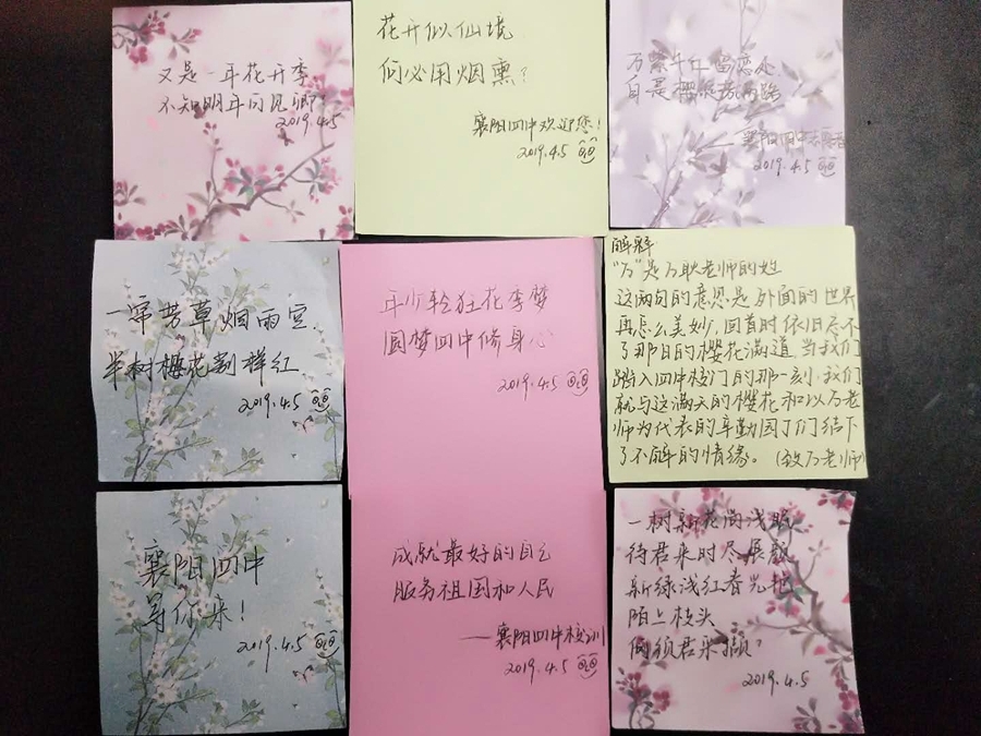 1555856598304665.jpg 12.jpg