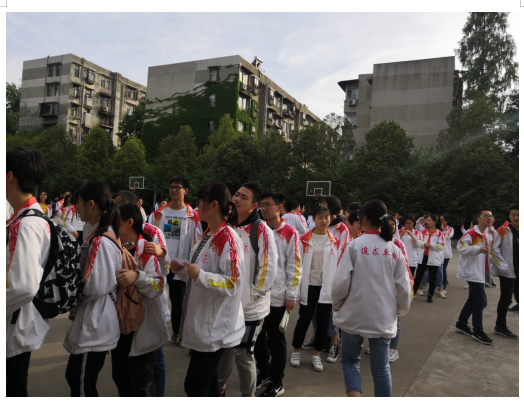 1557385486598313.png image.png