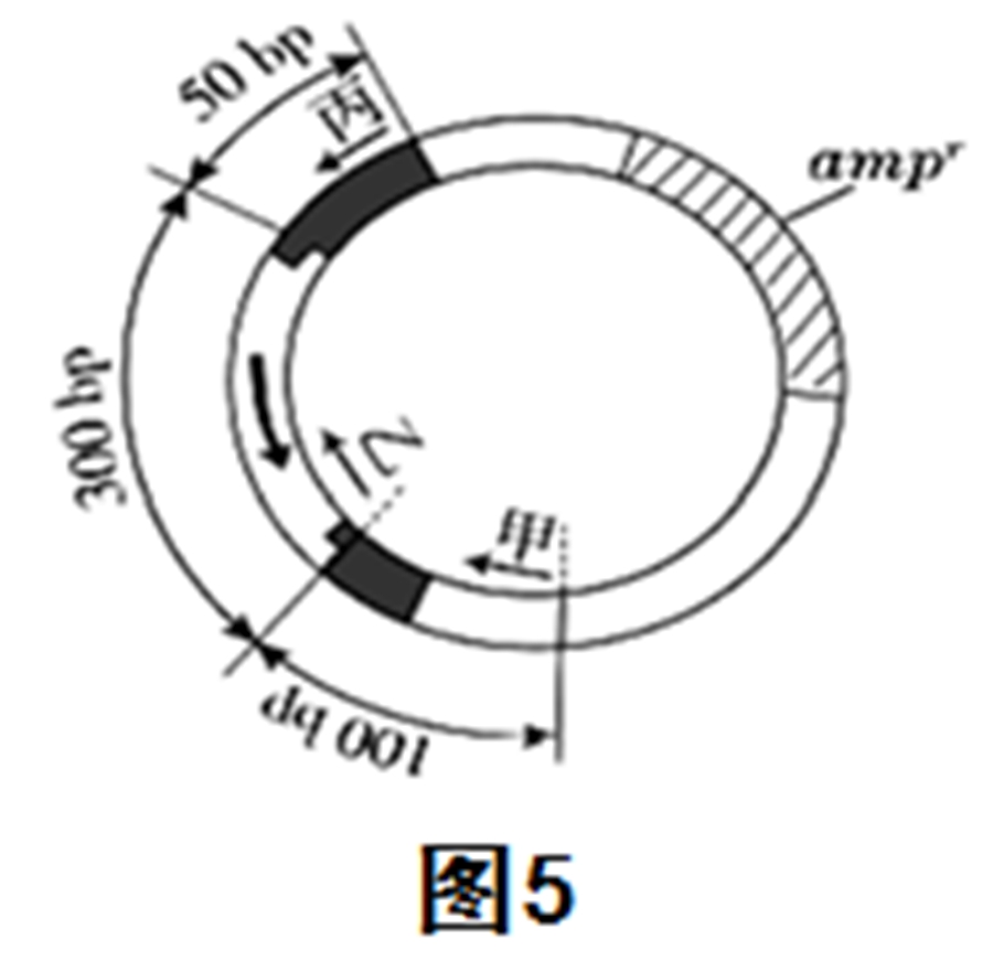 1585487535199194.jpg 5.jpg