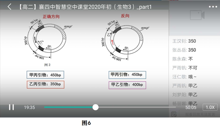 1585487557122111.jpg 6.jpg