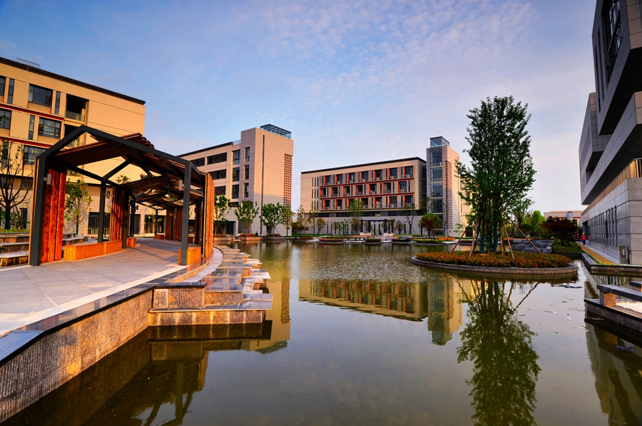 1596683895613848.jpg 4.jpg