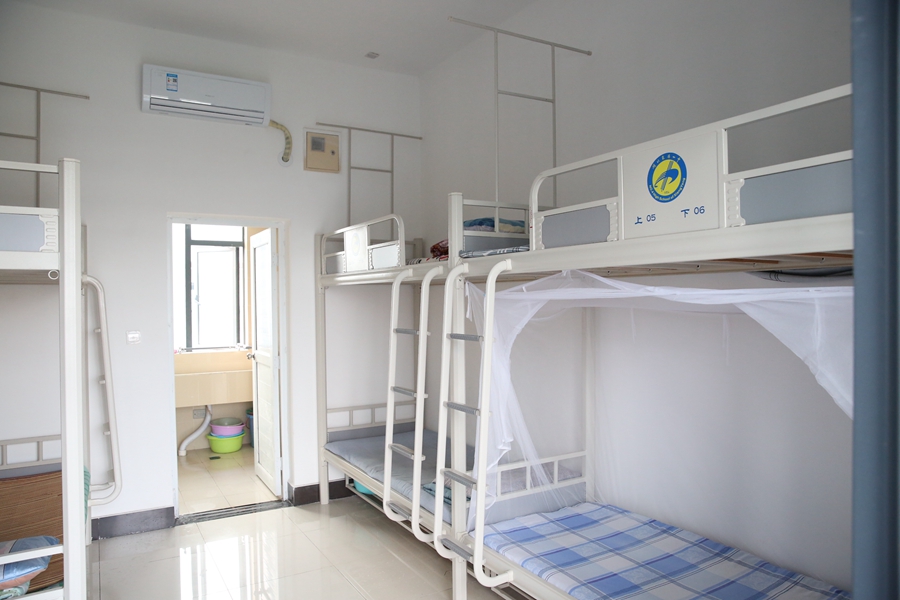 1596684140122386.jpg 1.jpg