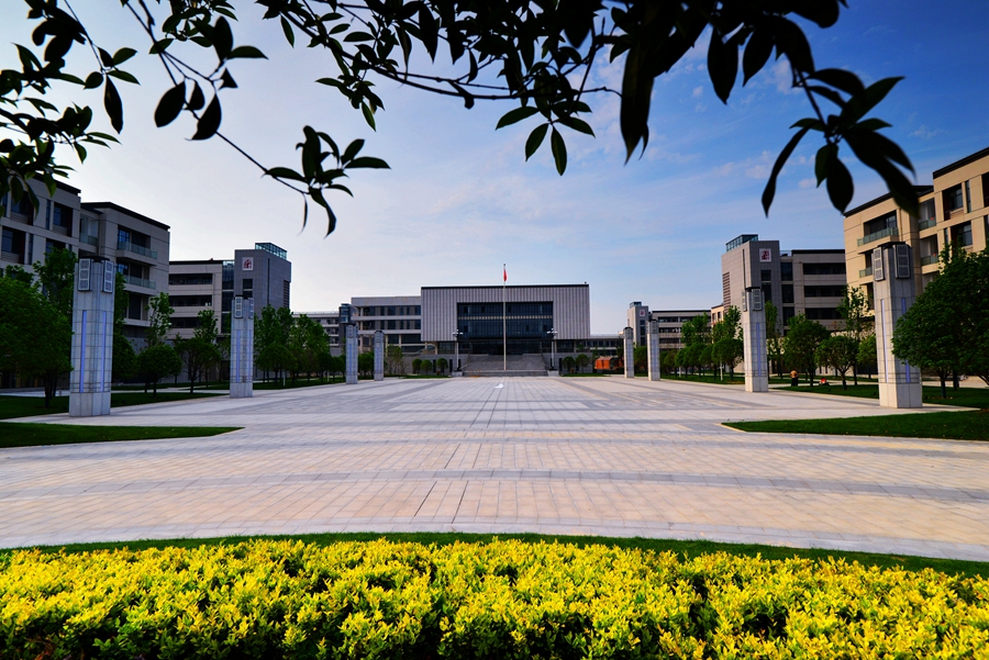 1596857846769020.jpg 3.jpg