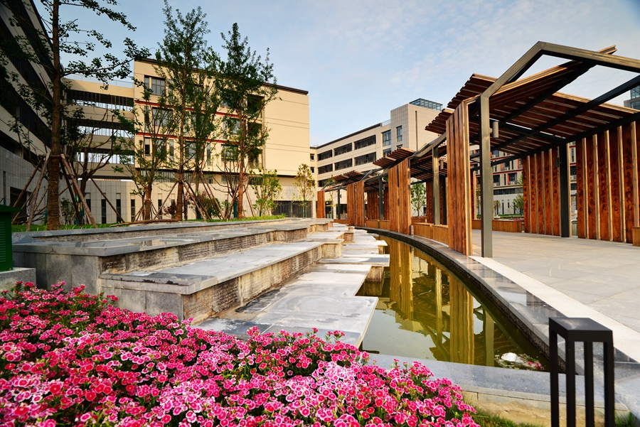 1596857970324889.jpg 02.jpg