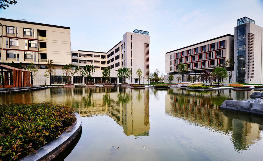 1596857978135687.jpg 03.jpg