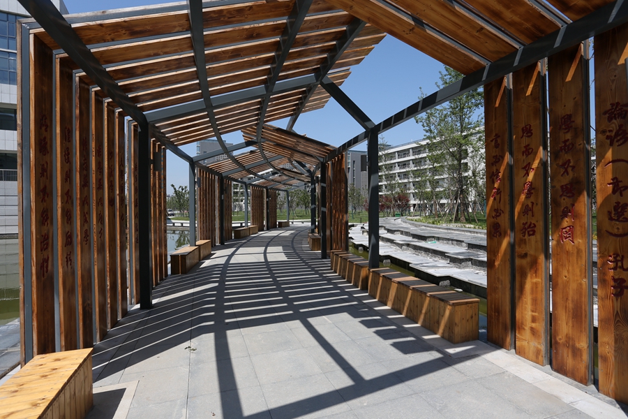 1596858035855471.jpg 10.jpg