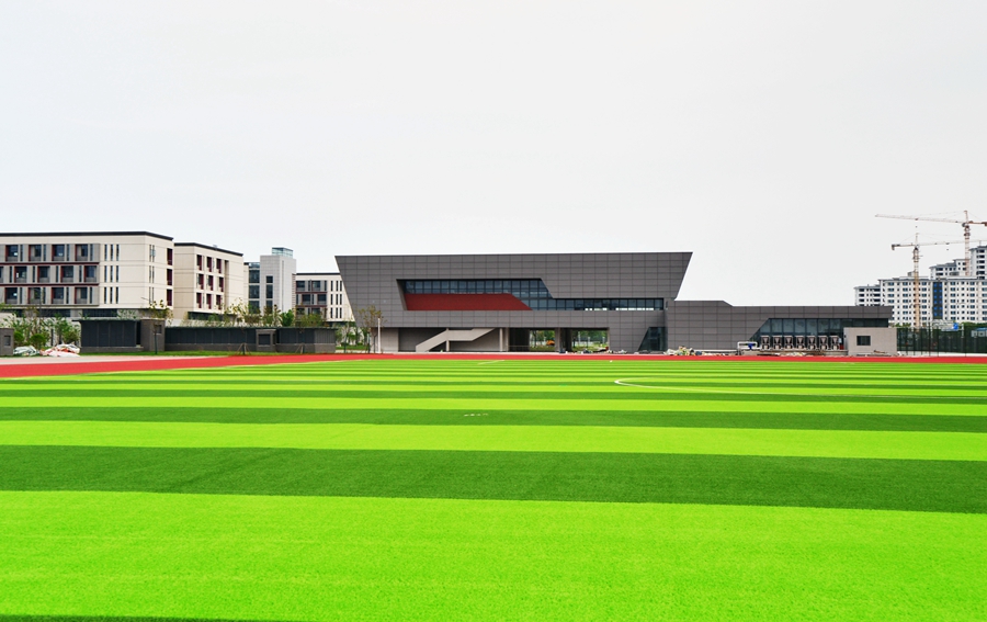 1596858202297306.jpg 2.jpg