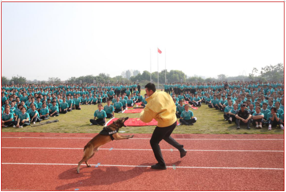 1601948143128088.png image.png