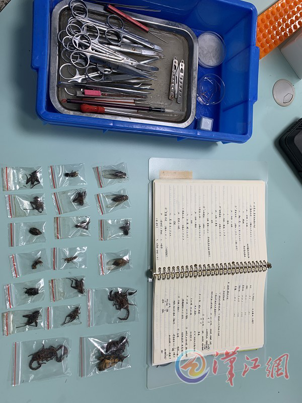 1602764677789202.png 图片2.png