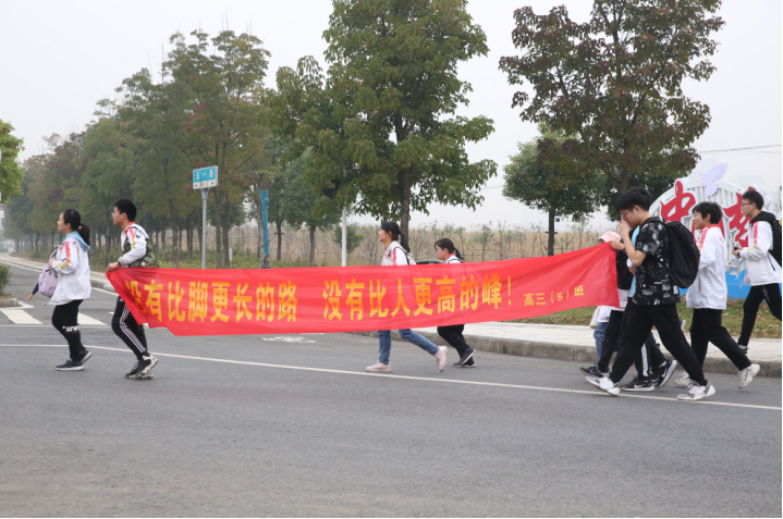 1604453191112007.png image.png