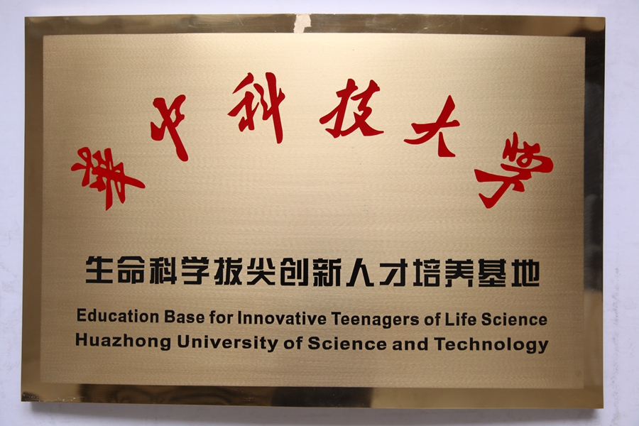 1617963436541899.jpg 11.jpg