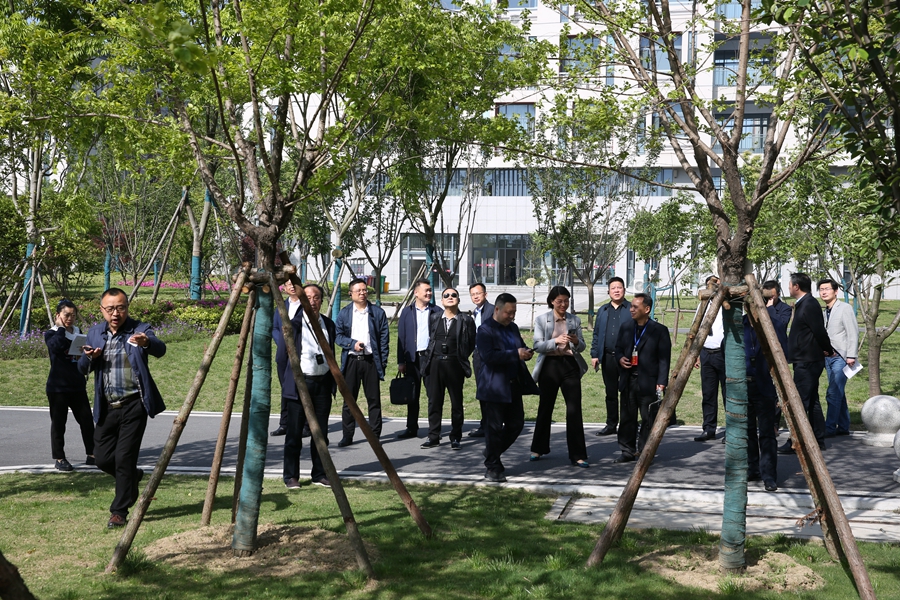 1619709117495553.jpg 10.jpg