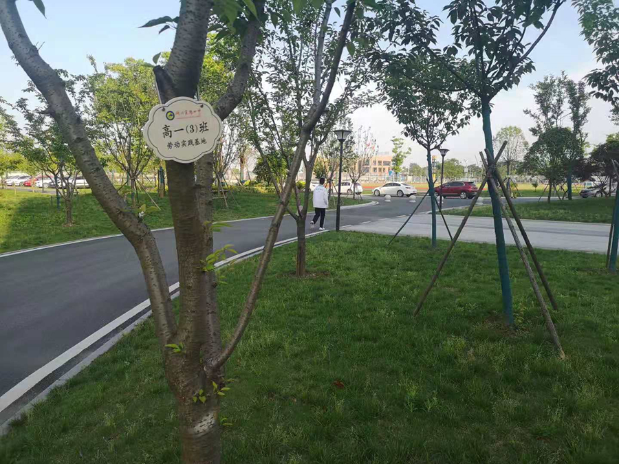 1621482581115196.jpg 1.jpg