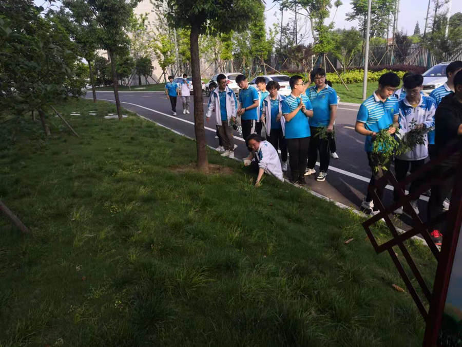 1621482633548440.jpg 6.jpg