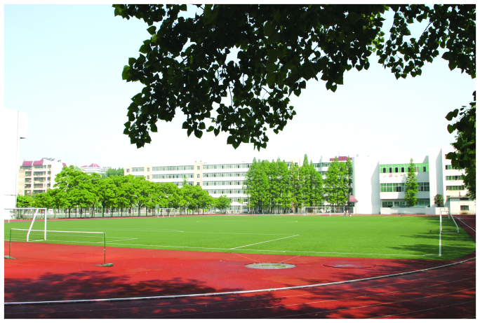 1624419552958188.jpg 2.jpg