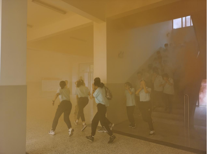 1631936047115002.png image.png