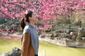 1646836752289905.png a5e411a386bee295067c35ab6b119b1.png