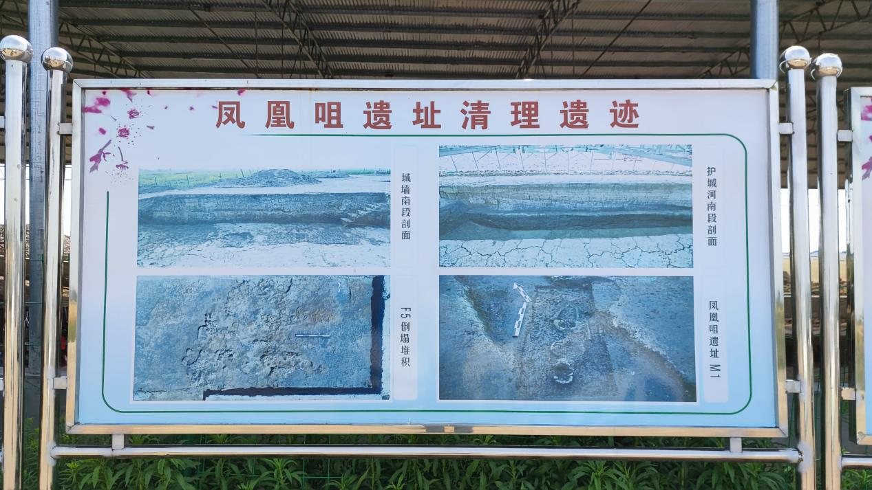 1653296600322609.png 图片 1.png