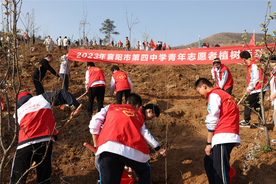 6植树.jpg