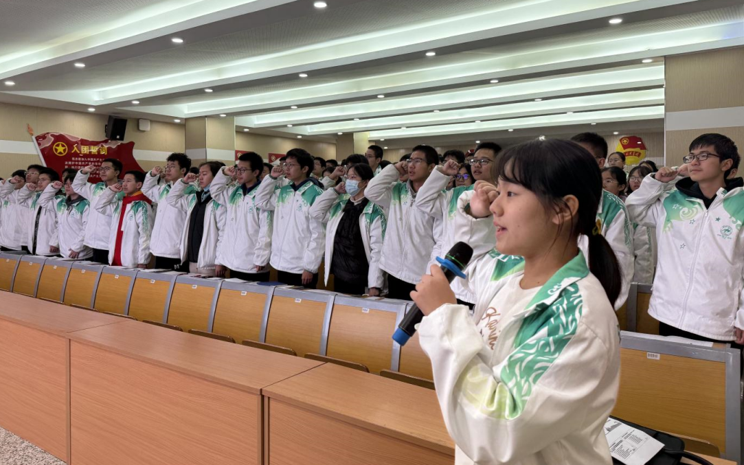 1700097005121534.png 1700096977164.png