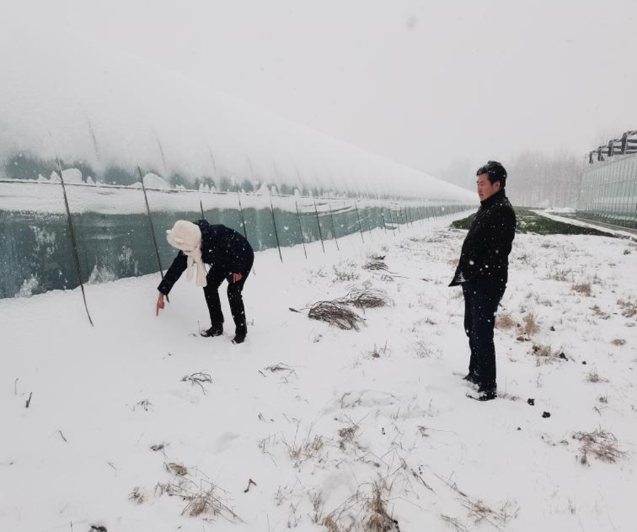 1708678384145189.jpg 3.jpg